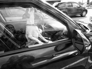 10th Feb 2021 - dog in a car