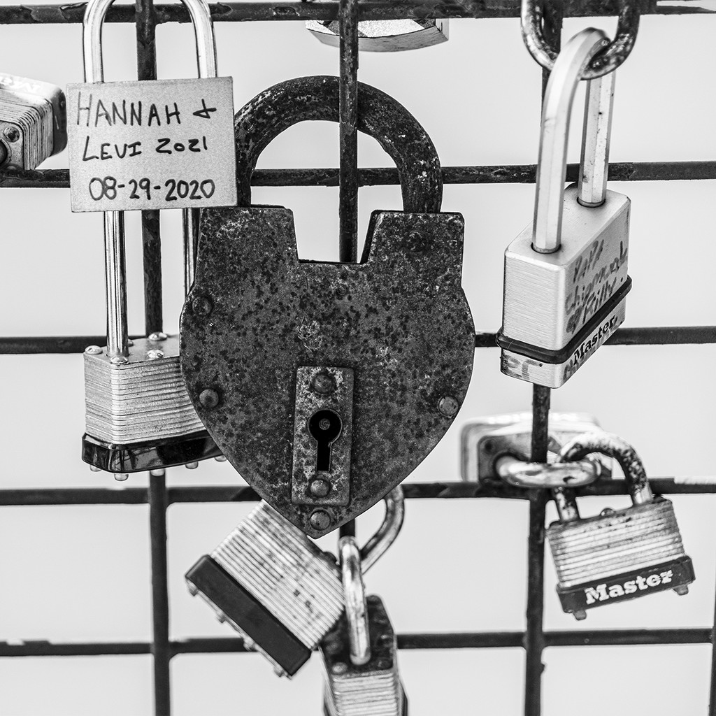 Treasured Locks by k9photo