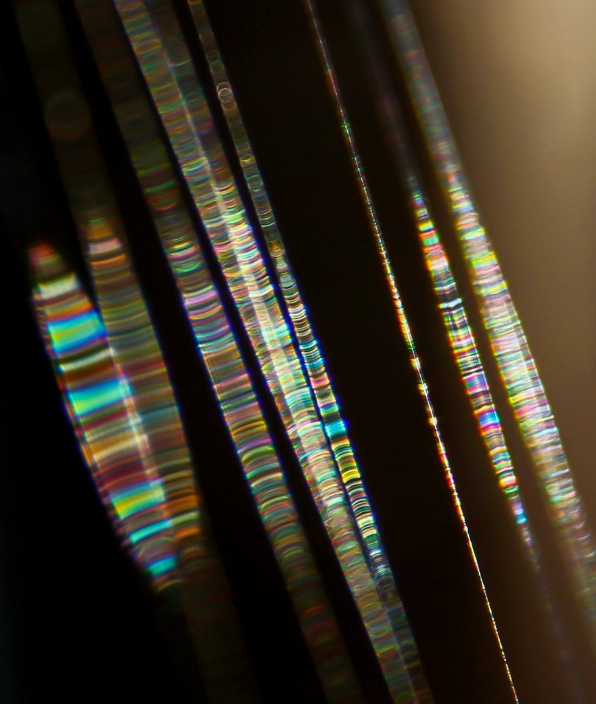 Multicolor Fluorescence in situ Hybridization of Chromosomes by sherimiya