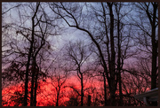 10th Feb 2021 - " red sky in the morning, sailors warning”