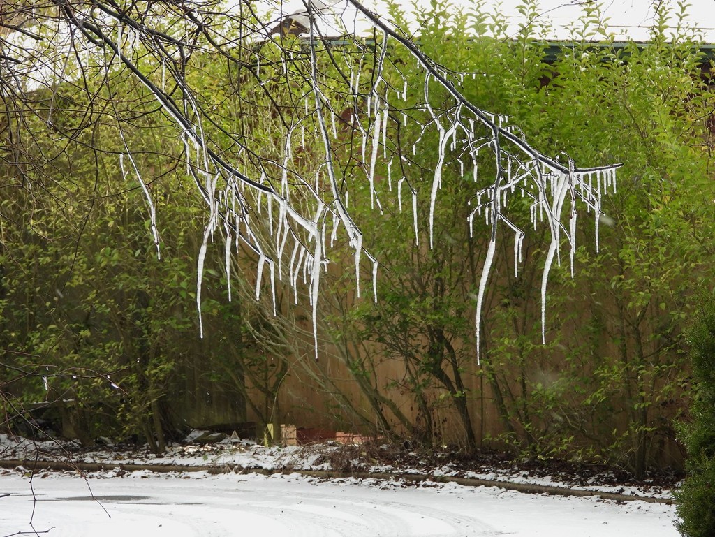 More icicles by roachling