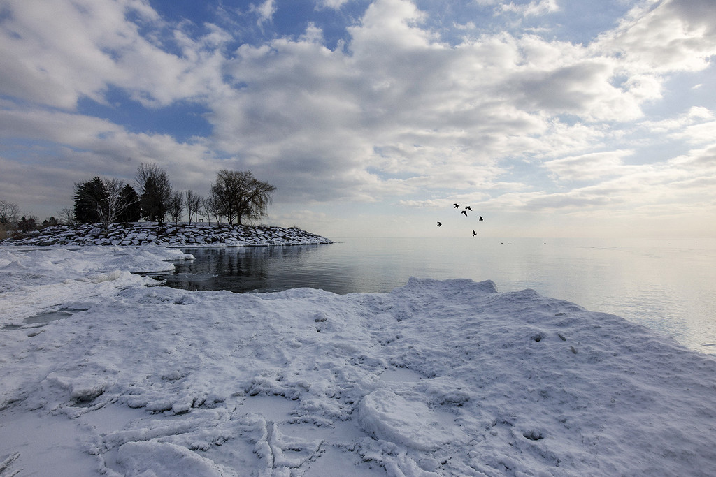 Winter at Bluffers Park by pdulis