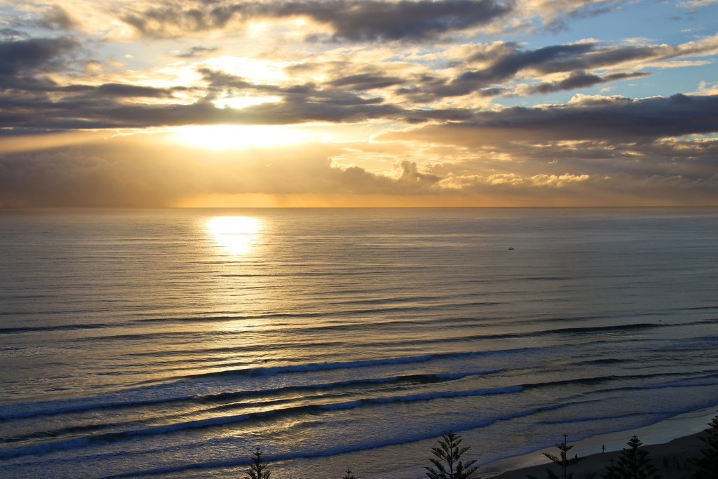 Gold Coast Early Morning by terryliv