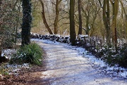 12th Feb 2021 - Snowy Path