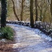 Snowy Path by carole_sandford