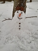 12th Feb 2021 - The quickest  snowman 