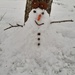 The quickest  snowman  by sarah19