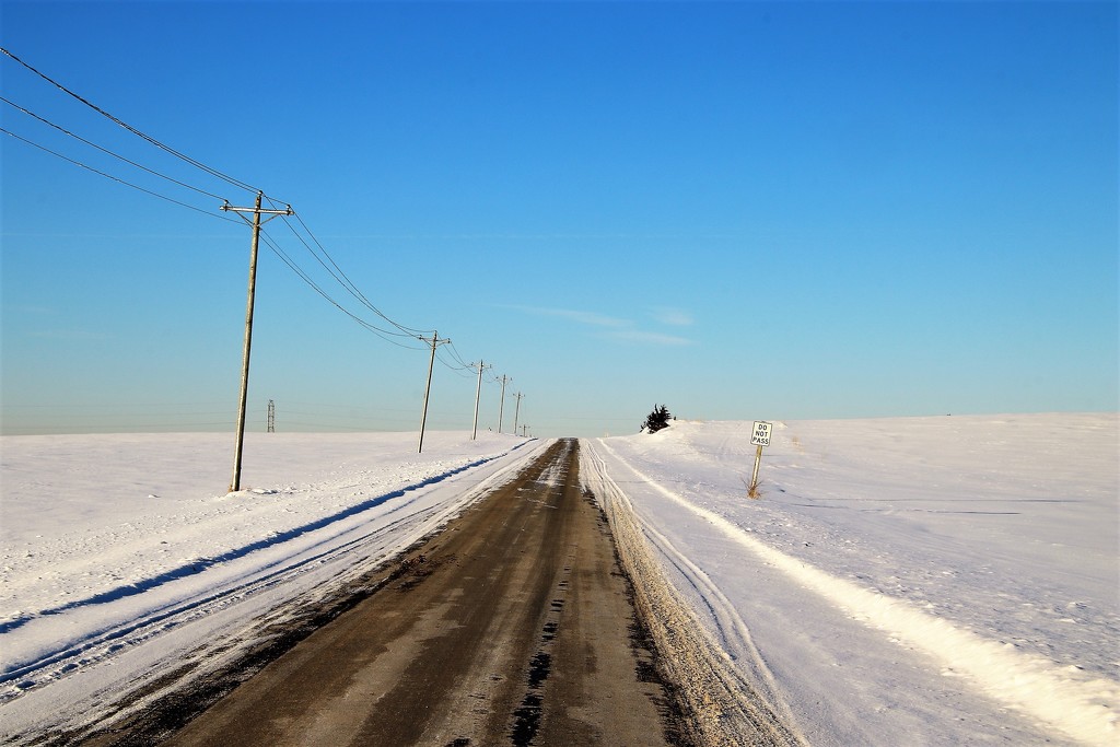 Winter Road by randy23