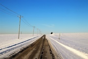 8th Feb 2021 - Winter Road