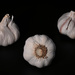 Garlic Blubs by sprphotos