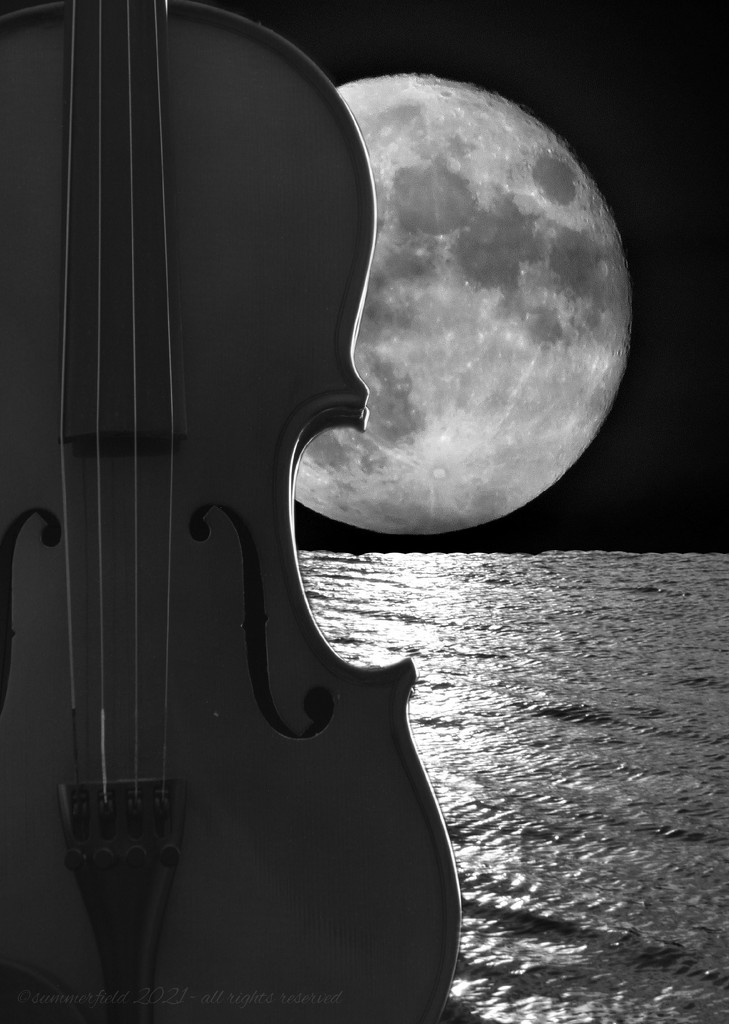 moonlight sonata by summerfield