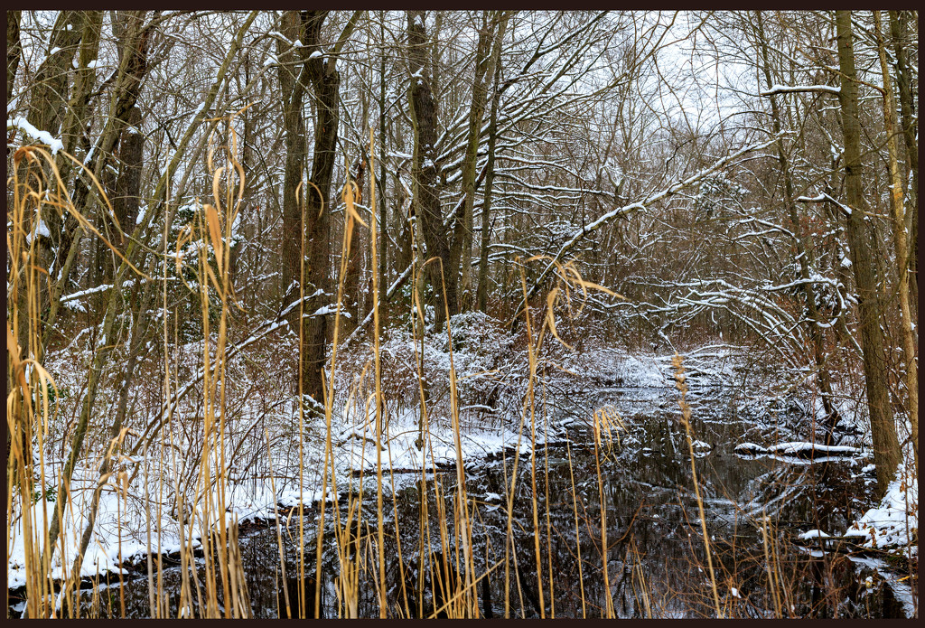 Winter Scene by hjbenson
