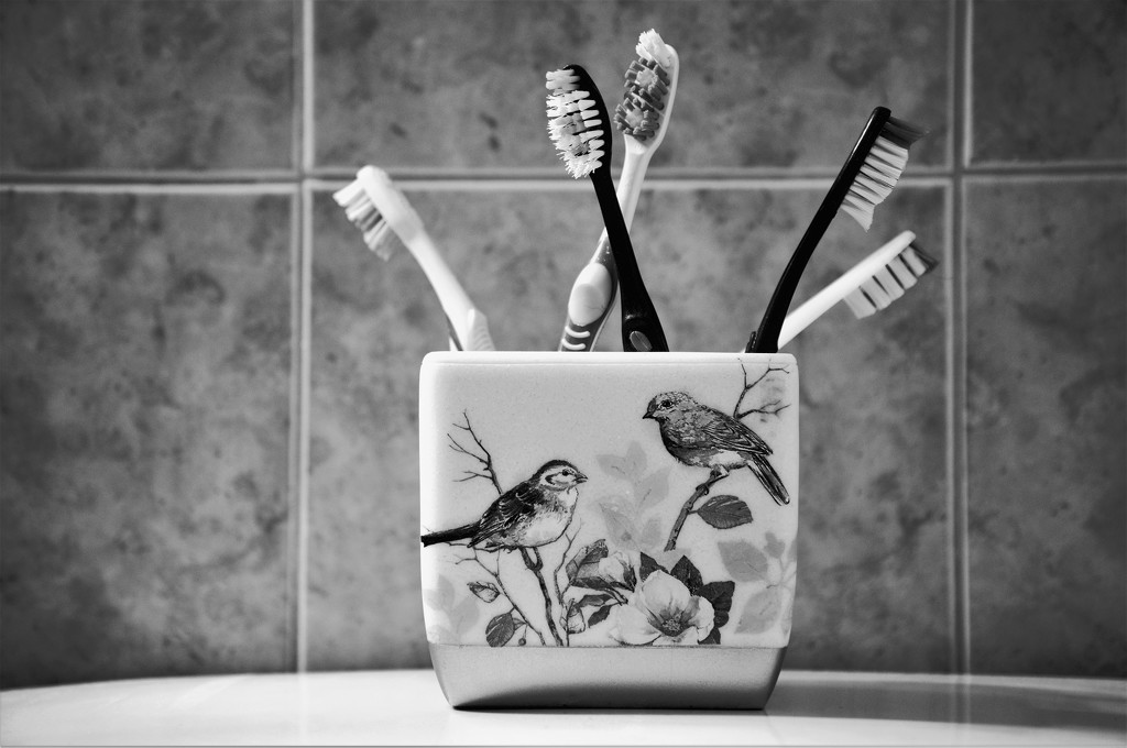 Toothbrush Collection by chejja