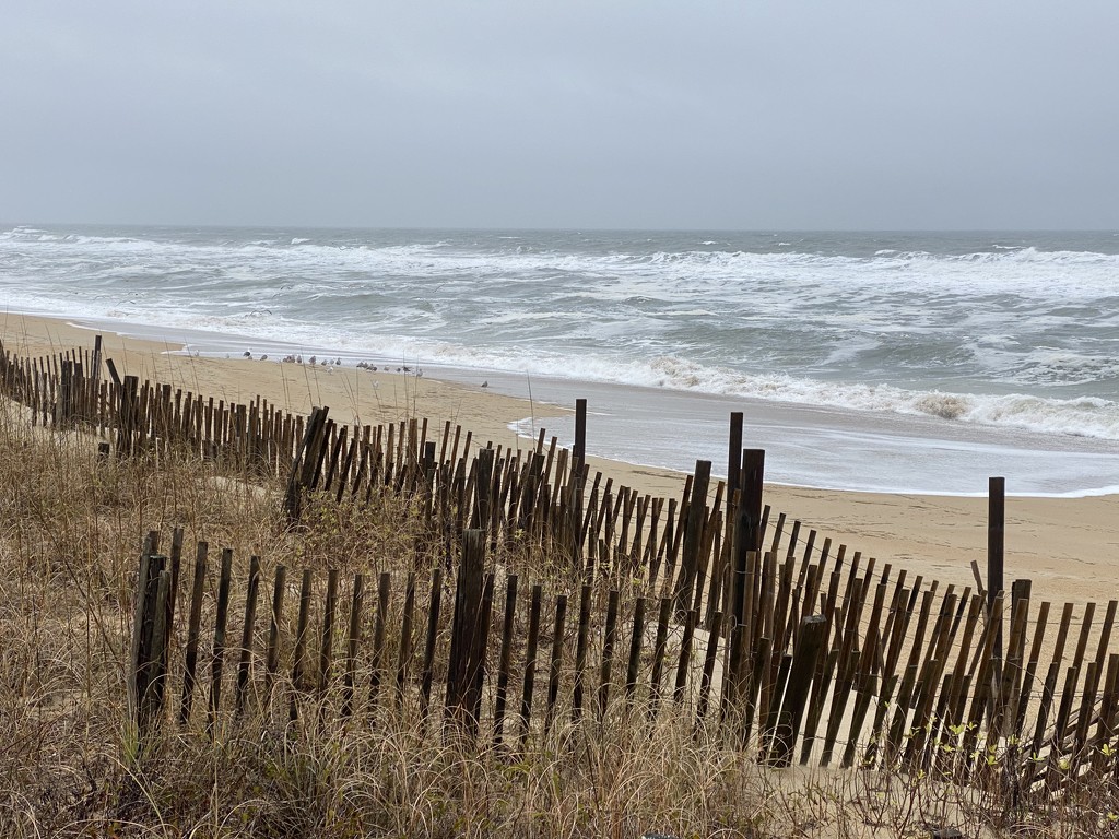 Winter on the Outer Banks  by khawbecker