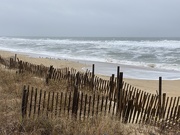 12th Feb 2021 - Winter on the Outer Banks 