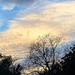 Winter tree and soft sunset clouds by congaree