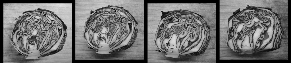 Inside a red cabbage by etienne