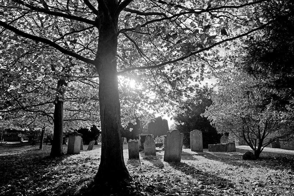 the churchyard by quietpurplehaze