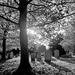 the churchyard by quietpurplehaze