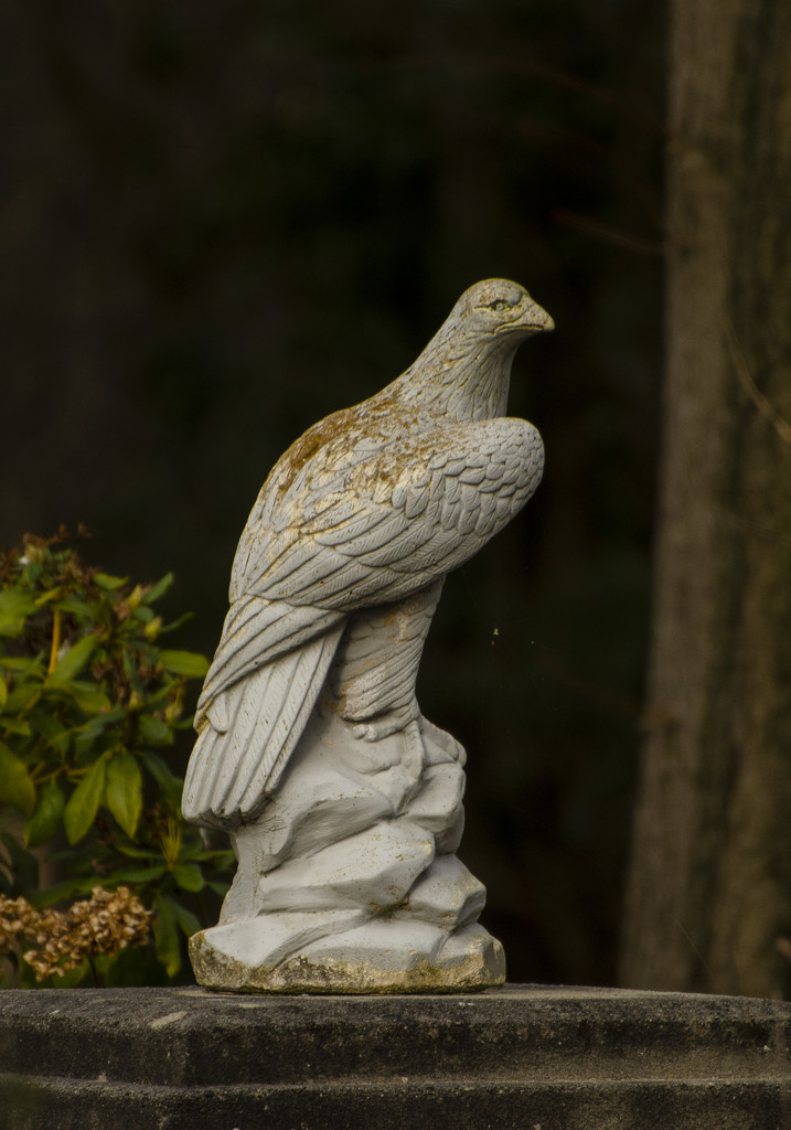 Stone Eagle by clivee