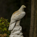 Stone Eagle by clivee