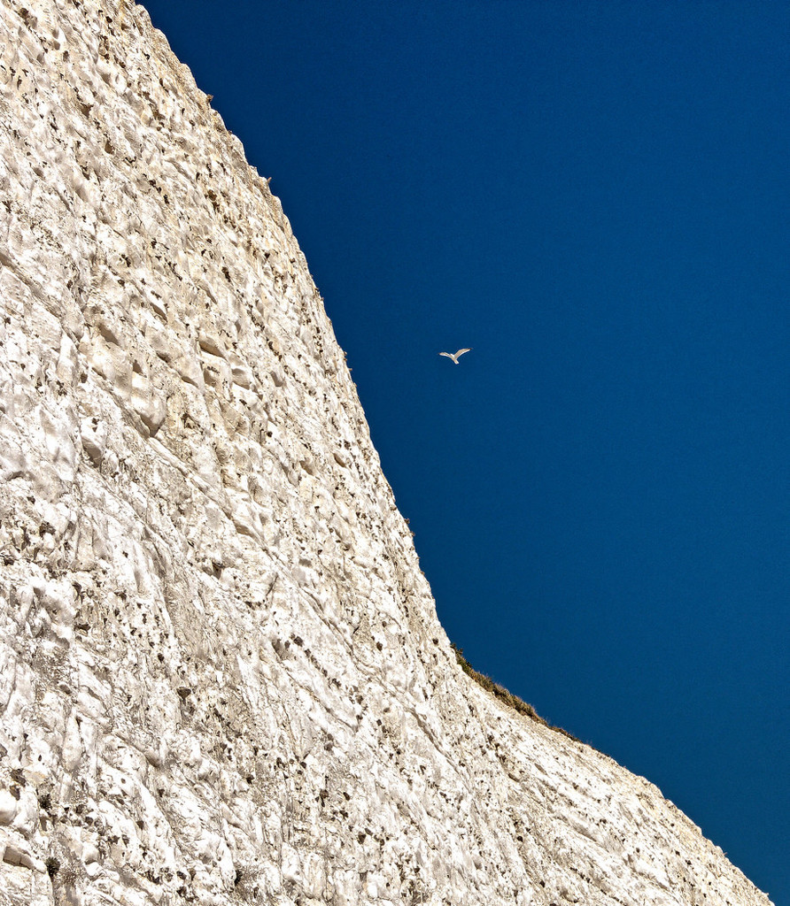 0213 - Bird and cliffs by bob65