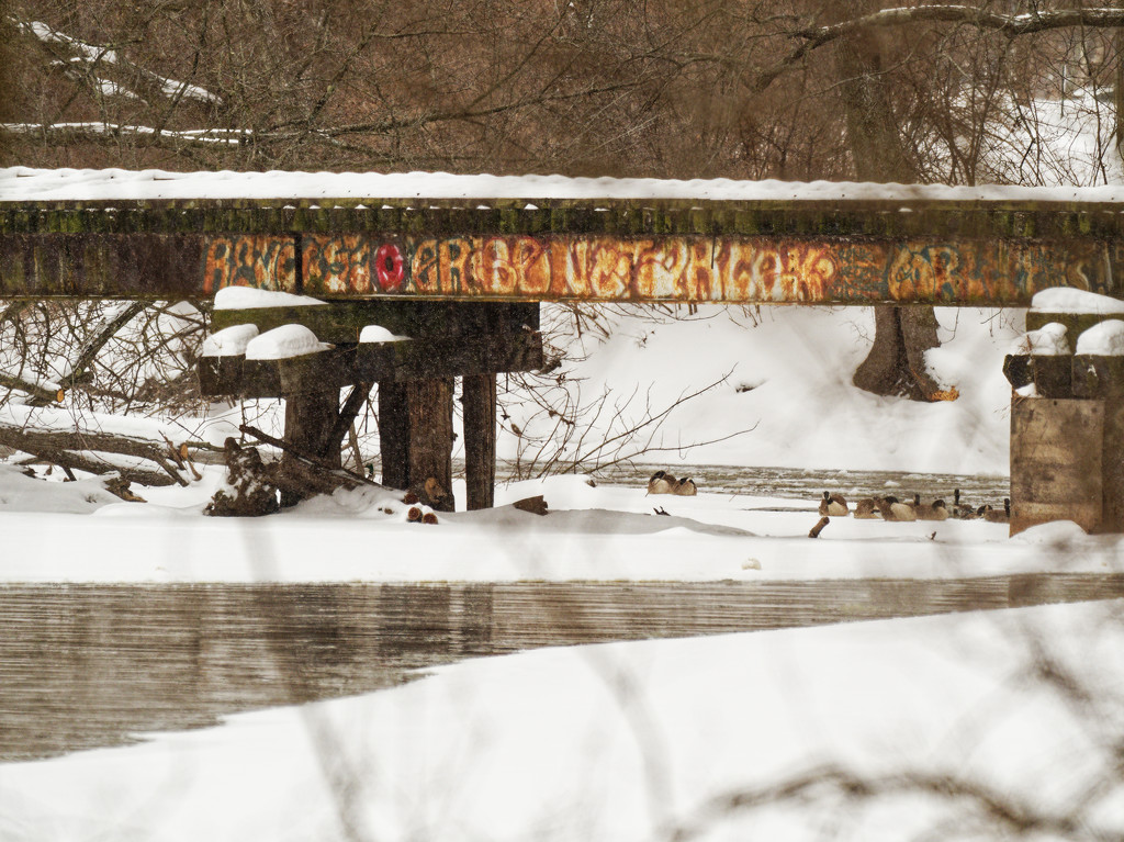 Bridge Graffiti by rminer