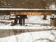 13th Feb 2021 - Bridge Graffiti