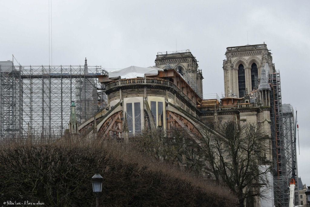 Notre Dame by parisouailleurs