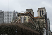 8th Feb 2021 - Notre Dame