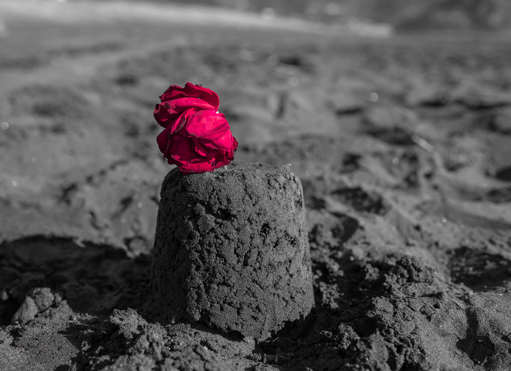 Sandcastle Valentine  by brigette
