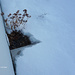 Dryer vent snow removal by larrysphotos