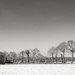 Field Border... in the snow by vignouse