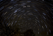 13th Feb 2021 - Star Trails at Cottonhill