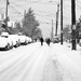 Snowy 22nd by stephomy