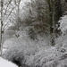 Say farwell to winter by pyrrhula