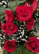 13th Feb 2021 - Roses for Valentines 