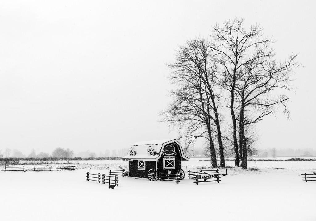 Richmond Country Farm in winter by cdcook48