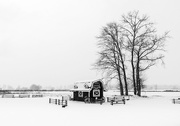 13th Feb 2021 - Richmond Country Farm in winter