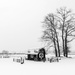 Richmond Country Farm in winter by cdcook48