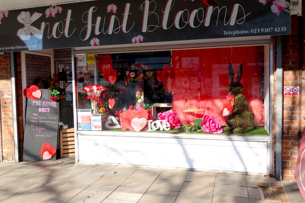 Valentine's Shop Window by davemockford