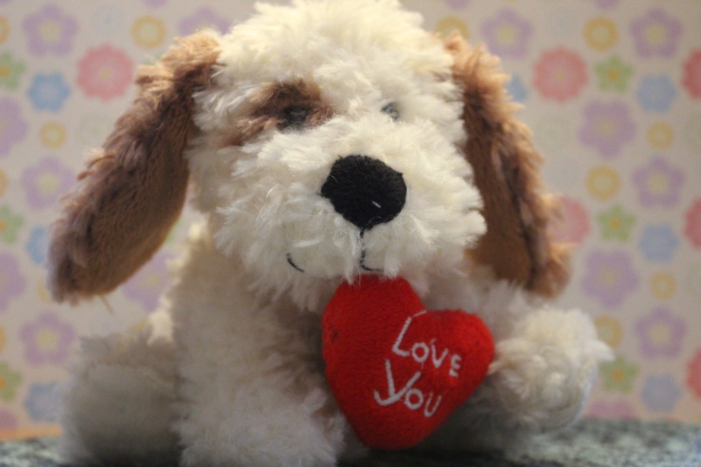 Puppy Love by jb030958