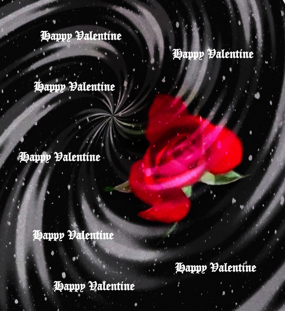 Happy Valentine's Day by bruni