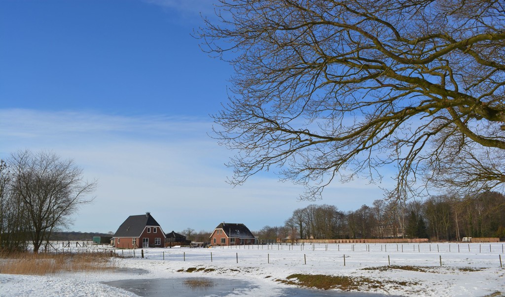 farm in the snow by iiwi