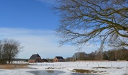 14th Feb 2021 - farm in the snow
