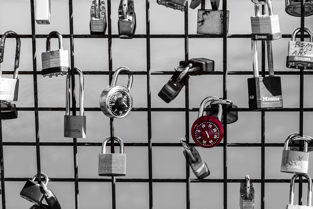 Red Lock by k9photo