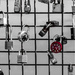 Red Lock by k9photo