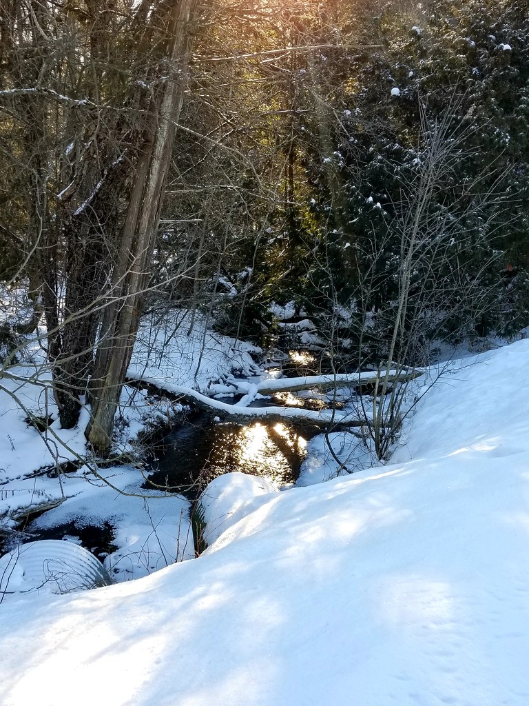 Winter brook by ljmanning