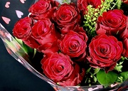 14th Feb 2021 - Valentine Roses