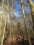 6th Feb 2021 - Mrs B In The Trees